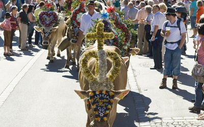 Almabtrieb__Archiv_TVB_Mayrhofen__Foto_Norbert_Freudenthaler_nobert-freu....jpg